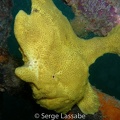 PA040173 modifie1