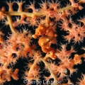 IMG 4658