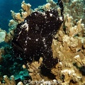 IMG 4935