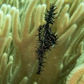 IMG 5169