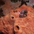 IMG 6759